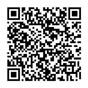 当年最后一次炼骨族和东大陆众智慧生物的大战就是因为炼骨族失去了正确引导二维码生成