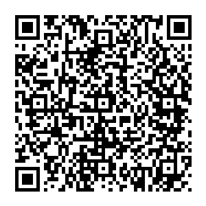 当年用大阵坑杀两千修士 与这亲手屠戮的感觉是不一样的 一个是间接杀人 而一个确实亲手杀人二维码生成