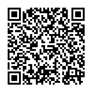 当年苍王与其余十绝王者在一处上古禁地获得了两枚传承至上古的令牌二维码生成