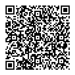 当年被他们围攻没有一点的反抗之力格里斯此时竟然以一己之力以摧枯拉朽的速度将他们彻底的击溃二维码生成