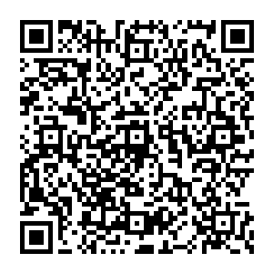 当年这三角湾还不是海啊……而是比缥缈岛还要大的一个小陆地……硬生生的被一群生死境强者阁打破灭了二维码生成