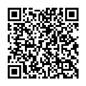 当张铁在那本书的一副彩页照片中看到几条蚯蚓和蚯蚓的介绍后二维码生成