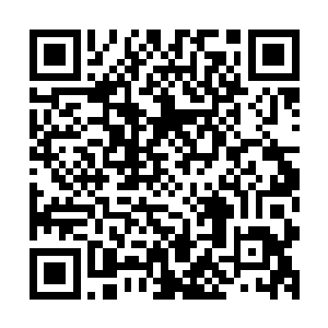 当感受到大殿上面和厚重的气息和密密麻麻的玄妙的符文之后二维码生成