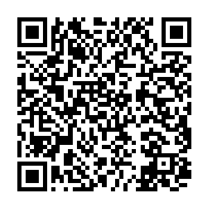当所有人认为今天不会再有什么珍贵的礼物价值是在林平鹤的字画之上时二维码生成
