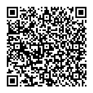 当拳头袭來的时候 风清扬终于将目光收了回來 看起來是如此的漫不经心 实则 那是需要多大的勇气啊二维码生成