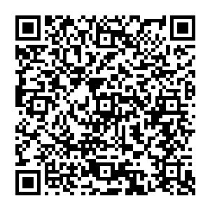 当拿在手中之后　他瞳孔一缩　浑身顿时一颤　怎么会出现降魔杵　降魔杵不是佛教之人才会使用的东西吗二维码生成