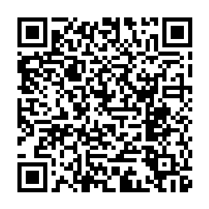当日我离开玄真派――离开的缘由不说也罢――只想要回到仙农洞府二维码生成