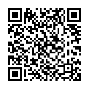 当时……我没有办法才把你留在荒山……跟着我反而会更危险二维码生成