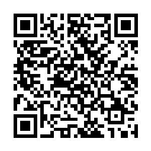 当时也确实没有勉强每一个修士都要一定加入无极宗二维码生成