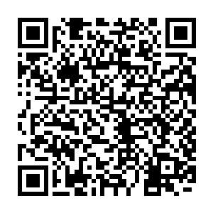 当时他们两个都觉得很不爽的系主任因为學术造假问题而遭到处分停职啦二维码生成