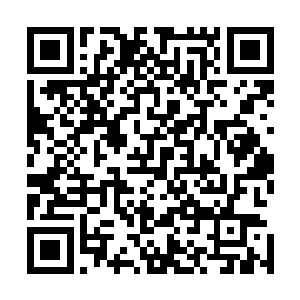 当时办案民警认定的是这只是一场普通的意外车撞人的事故二维码生成