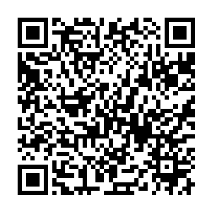 当时我们这一脉的族长第一时间得到消息便意识到我们可能被陷害了二维码生成