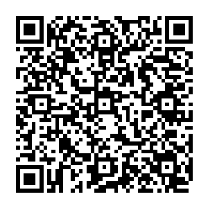 当时没有跟随来京的王英和当时只会在浙江会馆讨饭吃的娄天化两人完全插不上嘴二维码生成