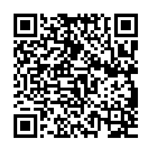 当时由四位教授组成的阅卷专家组有三位都给了这篇文章满分二维码生成