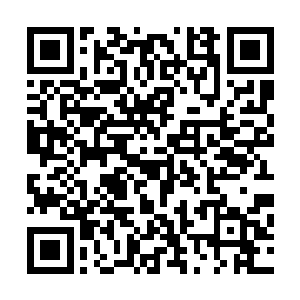 当时秦洛的爷爷秦铮在给秦洛讲述三大分支的渊源和特长时二维码生成