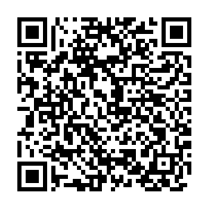 当江帆从乾坤洞里取出东乌国的新型核武器研究资料交给宋文杰的时候二维码生成