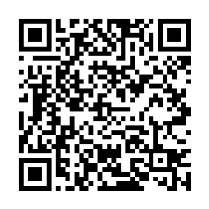 当津门正在大刀阔斧的重塑北方经济门户的格局时二维码生成