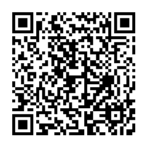 当流墨墨看着瞬间就被罗生花用自己的叶子把人连带矮榻都裹成了一个绿叶团子二维码生成