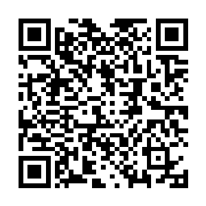 当流墨墨窜进拍卖场的时候整个拍卖会已经是一片漆黑二维码生成