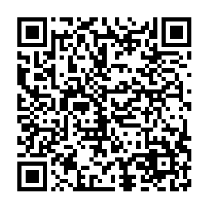 当混血圣灵的那几支部队进入到机械族布置的机械战线和堡垒中时二维码生成