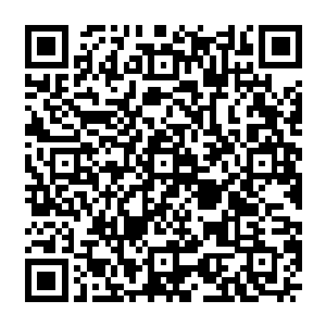 当然 如果你不要钱死活要报仇 那也可以 但是也一定要在佣兵协会的一些规则以内二维码生成