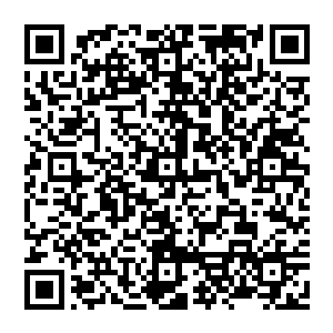 当然 既然是他在守护 他就有着独一无二的特权 别人不能轻易动手 他却不再这个范围之内二维码生成