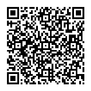 当然也可以是楚芊芊体内留着的这种罕见的diff型血……虽然秦方自己并不是很肯定这一点二维码生成