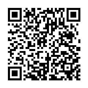 当然也有不少大能也曾经模仿过血海的环境种植血灵草二维码生成