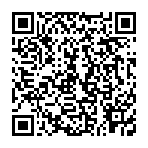 当然如果我们的人大代表们和政协委员们有这方面的精力和专业知识来进行研究二维码生成