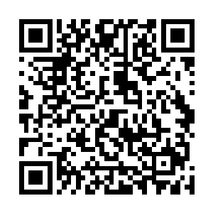 当然更不可能想到林封谨竟然还有一件防护型的神器救命二维码生成