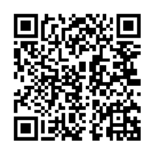 当然更多的人不管是认识还是不认识都开始给王泽生拨打电话二维码生成