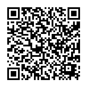 当然最后呈现在大家面前的那只死虎身上插着的箭都是有着御用标志的二维码生成