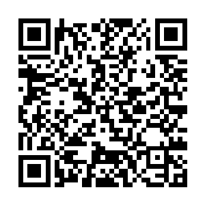 当然真的离不开之前众多的大导演大人物表态支持他二维码生成