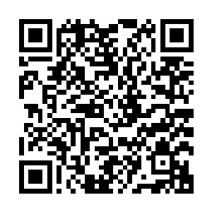 当然羡慕嫉妒恨完毕之后众人也开始好奇起到底是什么样的少二维码生成