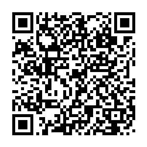当然还有各大宗派的高阶修士以及负责统计本派猎海功绩值的代表二维码生成