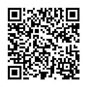 当然这里就没有上回在吉隆坡行宫那样宽阔的地界和金碧辉煌了二维码生成