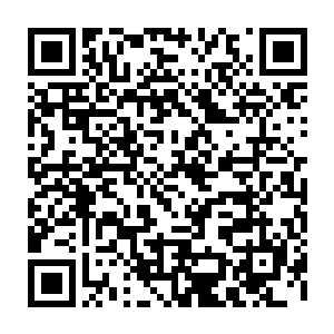 当然重点是他们和之前血妖姬们接触到的基本都命不久矣的杯具娃们不同二维码生成