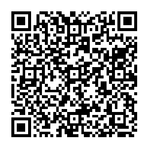 当然齐浩然是不会承认他是不想让人觉得他强抢大臣们的东西才让孩子们上门讨的二维码生成