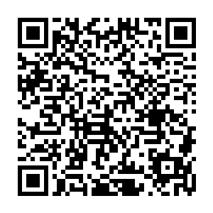 当猴子和憨牛看到云峥拿着一把小刷子仔细的清理人头所表现出的专注姿态二维码生成