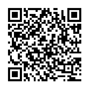 当目光落在一颗生长在一堆岩石边缘的灰色树皮的树木时二维码生成