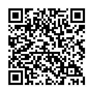 当看到罗林这么一个壮硕的墨绿色巨人从岩洞中大步走出来二维码生成