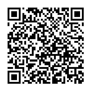 当看到自家爹爹和舅舅的时候冲着他们微微笑了一下算是打过招呼了二维码生成