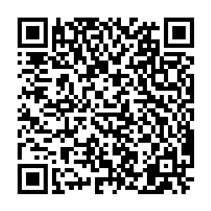 当真人类帝国最富饶的核心世界沉浸在宫廷内斗和权臣篡位的无谓消耗中时二维码生成