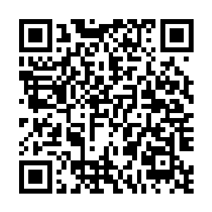 当老主人坐在旁边mo着它脖子上的硬筋絮絮叨叨地说话时二维码生成