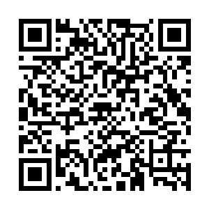 当苏凡的右膝狠狠的撞击在马尔克斯的手臂之上时二维码生成