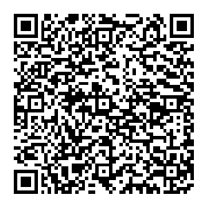 当若水冲天而降灌注到界珠的西北大地之时 原本干渴的大地顿时变得清澈 万物滋生 同一时刻 无数天地灵气诞生二维码生成