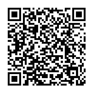 当许浩然把许麒他们这次的收获一一报给大殿之上的许家高层的时候二维码生成