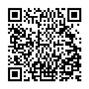 当身穿墨绿色战铠的狮心王带着他的勇士们从小树林出现的时候二维码生成