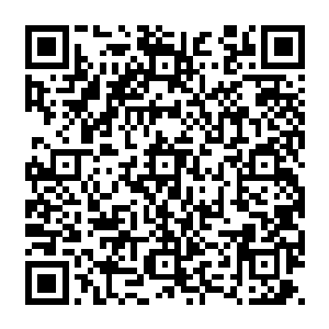 当那用无数的死亡与鲜血淬炼出来的铁血拳意的杀意和煞气在张铁身上爆发出来的时候二维码生成