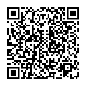 当那股足以将飞仙道宗的山门破坏的一片狼藉的能量风暴撞击在这一层结界上时二维码生成